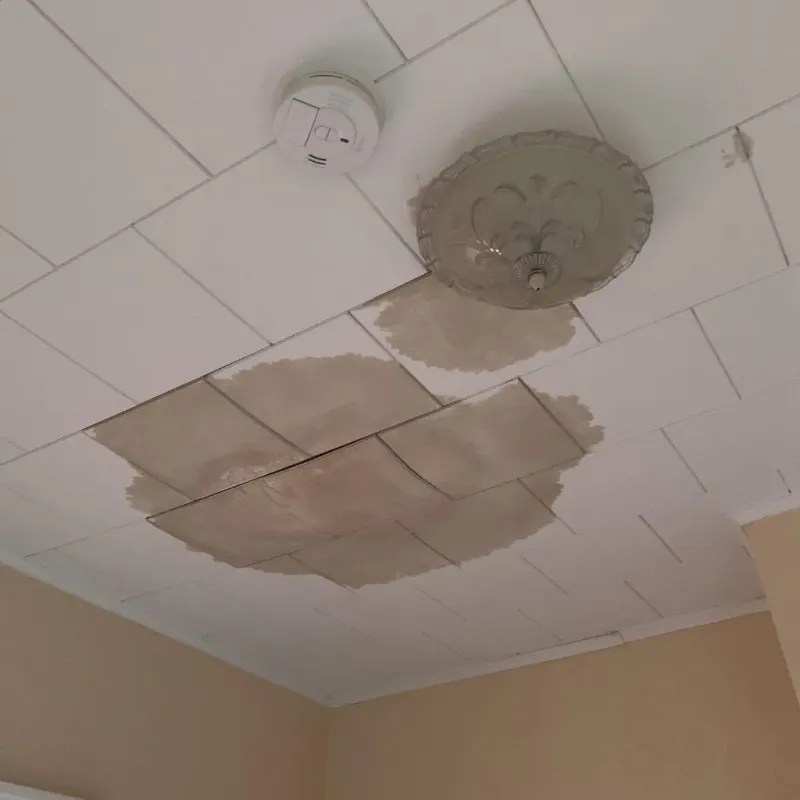 Ceiling Water Damage Repair in Virginia, MN