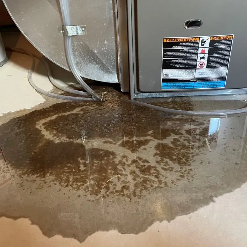 Pipe Burst and Leak Restoration in Virginia, MN